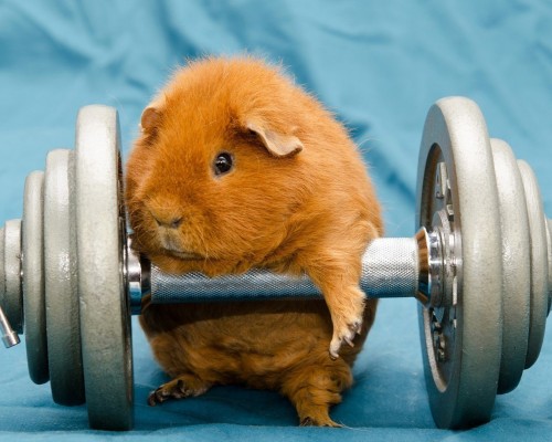  西安新画面广告文化传播有限公司及西安新画面广告文化传播有限公司的综合评价与详细描述