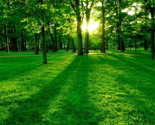 营业执照什么时候年检