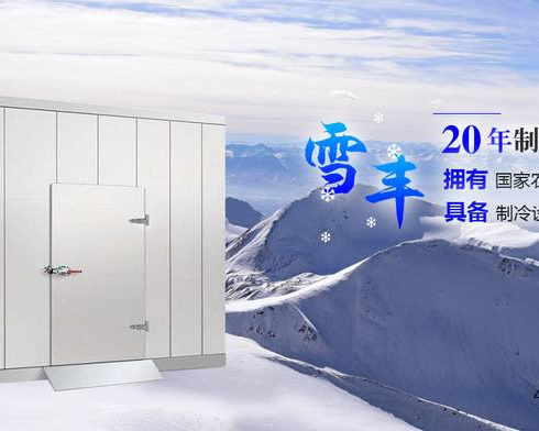 陕西雪丰环境科技有限公司