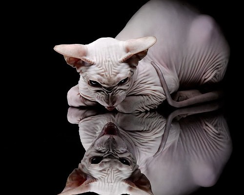 西安蓝田医院怎么样（西安蓝田医院怎么样啊）