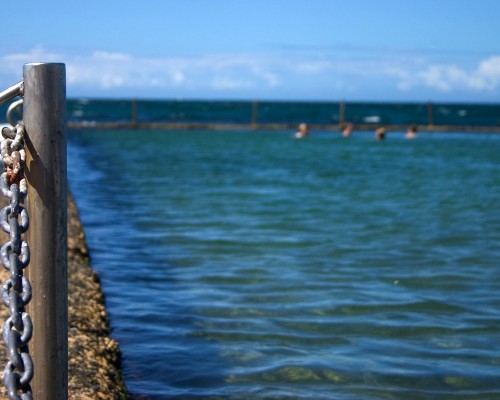 陕西新社保卡什么时候发行， 陕西新社保卡发行时间及相关信息解读