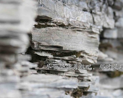 东莞市横沥人民医院官网