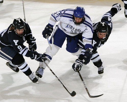 陕西铜博士公司怎么样