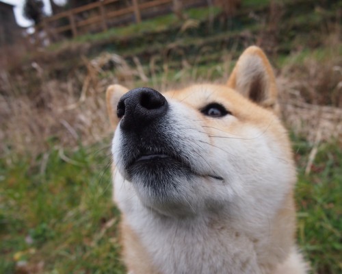 十堰市人民医院官网