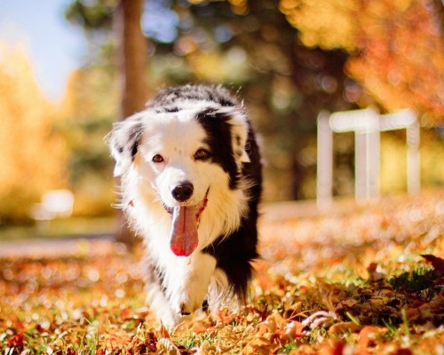 陕西化工企业上班怎么样（陕西化工集团招聘好进不）