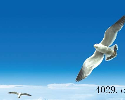 陕西鑫美华智能门业有限公司