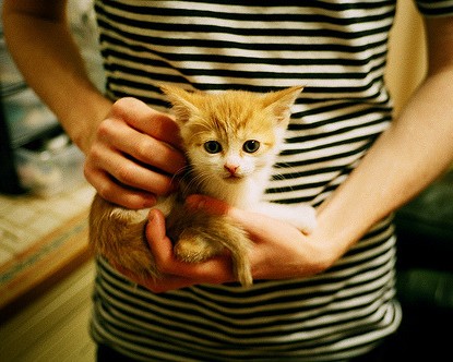 延安大学工科怎么样（延安大学工科怎么样啊）