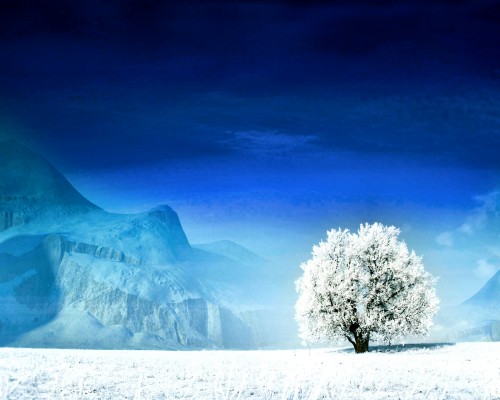 西安恒大陕西分公司怎么样（西安恒大陕西分公司怎么样啊）