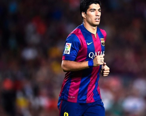 浙江古籍出版社官网