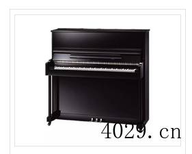 西安盛世欧亚琴行有限公司