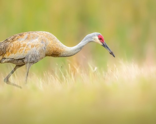  招商证券股份有限公司西安北大街证券营业部及招商证券大北窑营业部