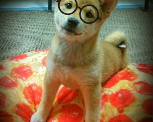 咸阳云景天城怎么样（咸阳云景天城怎么样啊）