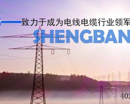 陕西圣邦电线电缆有限公司