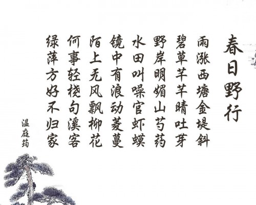  西安世园会：世界花卉盛宴与文化交流的盛会