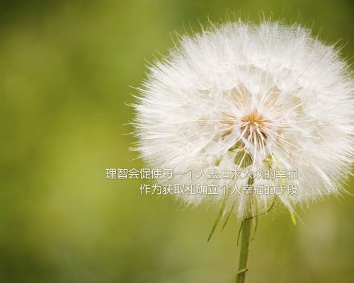  西安旅游百事通：带你畅游千年古都