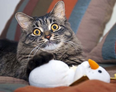 长沙长海医院官网