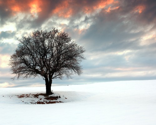 聊城市妇幼保健院官网