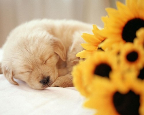 钢铁钝化防锈剂封存包装水基防锈剂劣质不锈钢金属防锈钝化剂