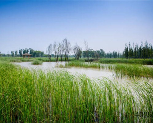 西安大时代工程咨询有限公司