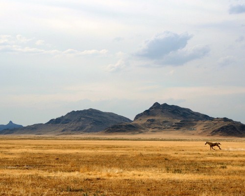  西安欧亚电子科技有限公司——提供卓越的电子科技解决方案