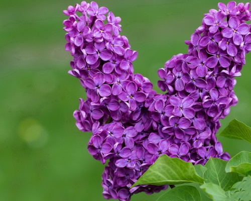  西安海星装饰设计工程有限公司及西安海星装饰设计工程有限公司的优势、服务和口碑