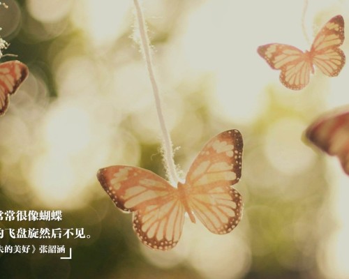 小微企业是一般纳税人吗