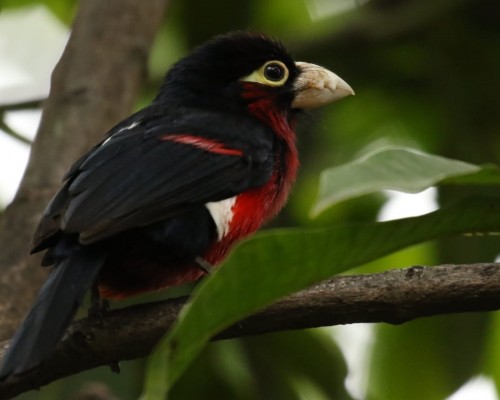 陕西京兆优品道公司工资怎么样