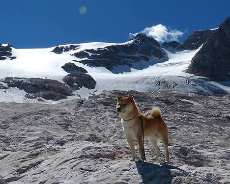 西安海外旅游有限公司——全方位为您打造难忘的海外旅游体验