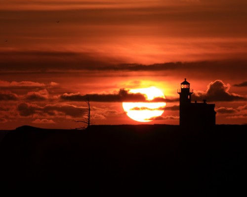 许昌市第二人民医院官网