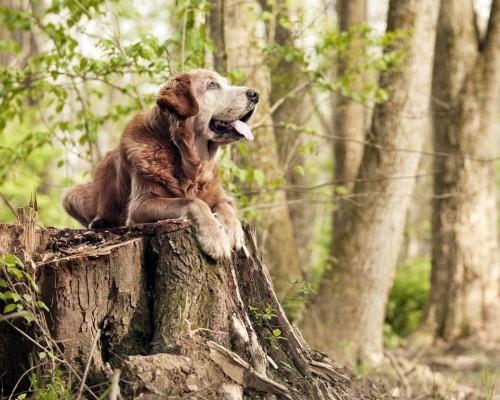  西安如家快捷酒店：舒适便捷的住宿选择