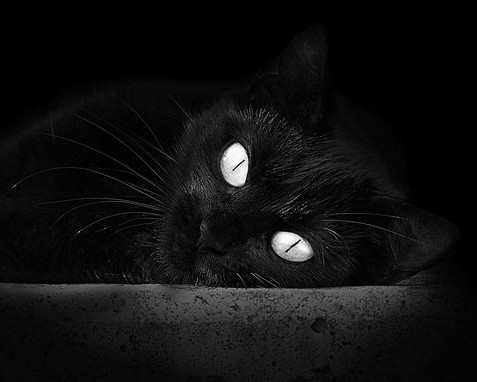  去西安旅游要多少钱？一家人需要准备多少预算？