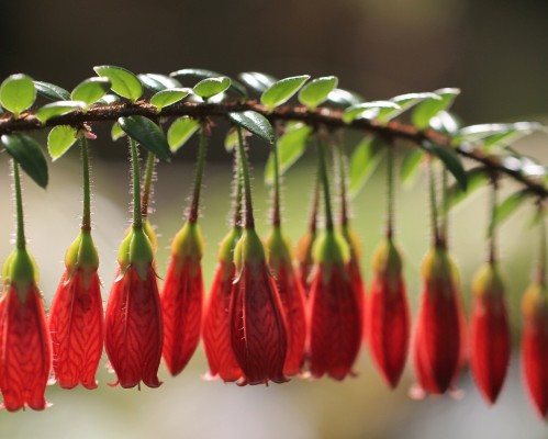  西安美联重机有限公司：致力于提供高品质的重型机械设备