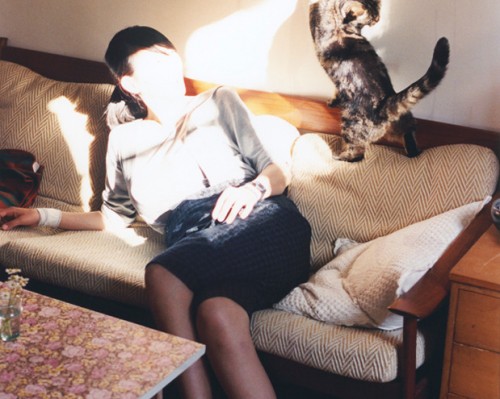  西安万胜机械有限公司及西安万胜机械有限公司招聘