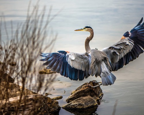 西安李全发抽什么烟， 西安李全发抽什么烟？揭秘他的烟瘾与人生