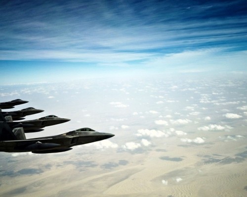 西安龙虾行情怎么样