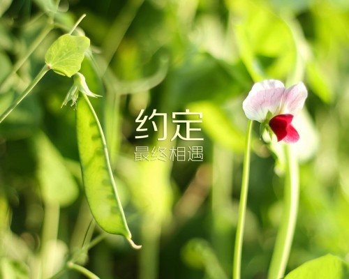 汽车关税怎样计算