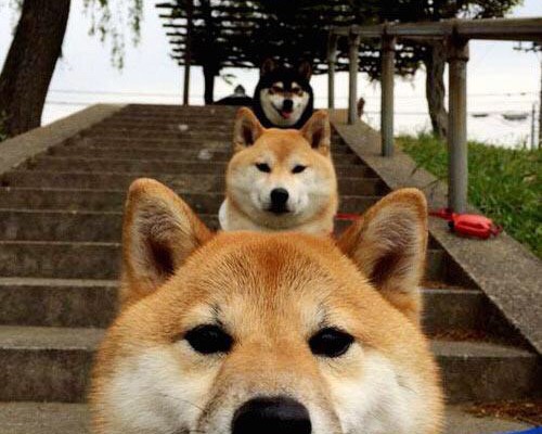 个人独资企业是个体工商户吗