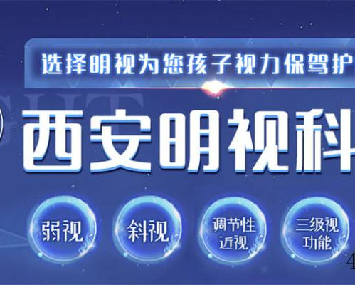 西安明视科技研究所