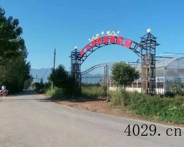 瓜大姐采摘体验园