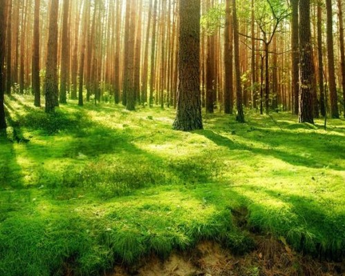 上海时光整形外科医院官网