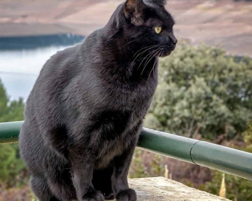 西安ar技术怎么样（西安ar技术怎么样知乎）