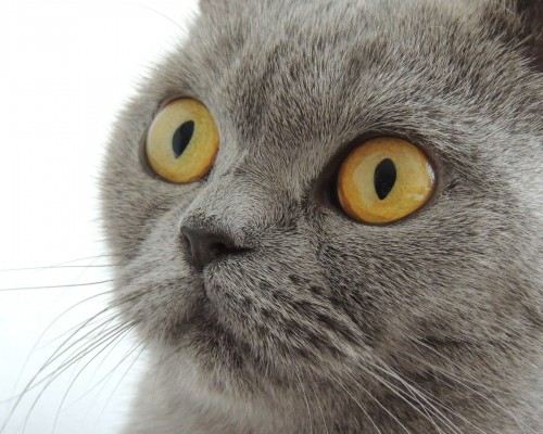 咸阳小儿推拿实体店怎么样（咸阳小儿推拿实体店怎么样啊）