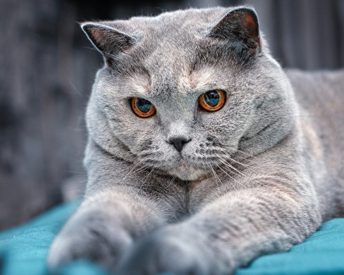 西安汉灸堂公司怎么样（西安汉灸堂公司怎么样啊）