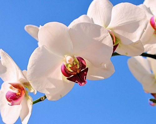 西安书香别院的房子怎么样