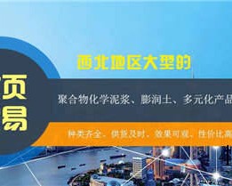 西安文页贸易有限公司