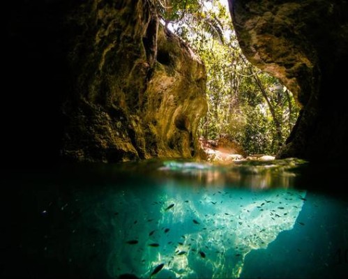 极风游科技官网