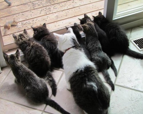 福清市融强医院官网