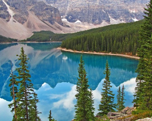 青岛优抚医院官网