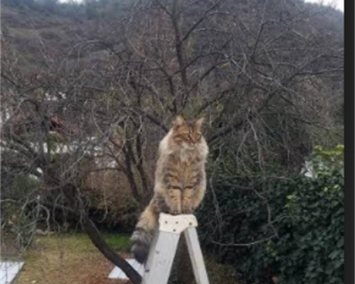 连云港职业技术学院官网