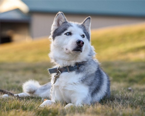  重庆注册公司流程及费用标准